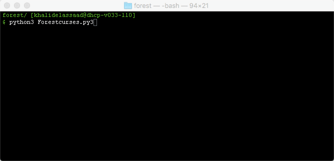 Forest v2 - large render