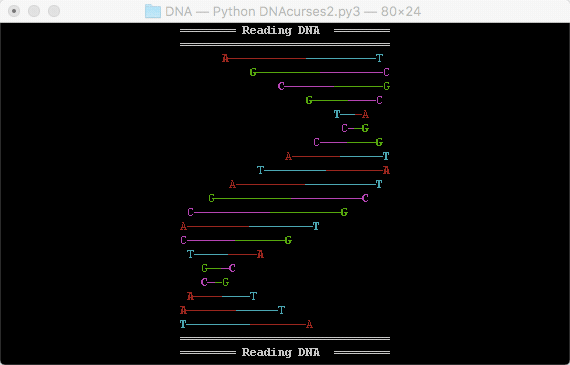 DNA v3 - rotation
