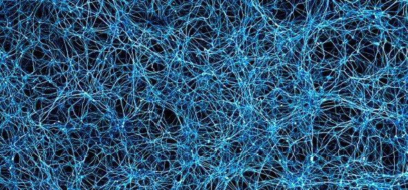 The neurons in your brain.